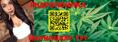 PSILOCYBIN Кулебаки